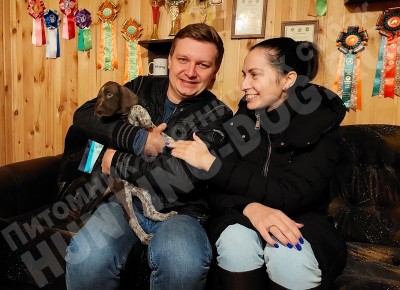 Новые владельцы